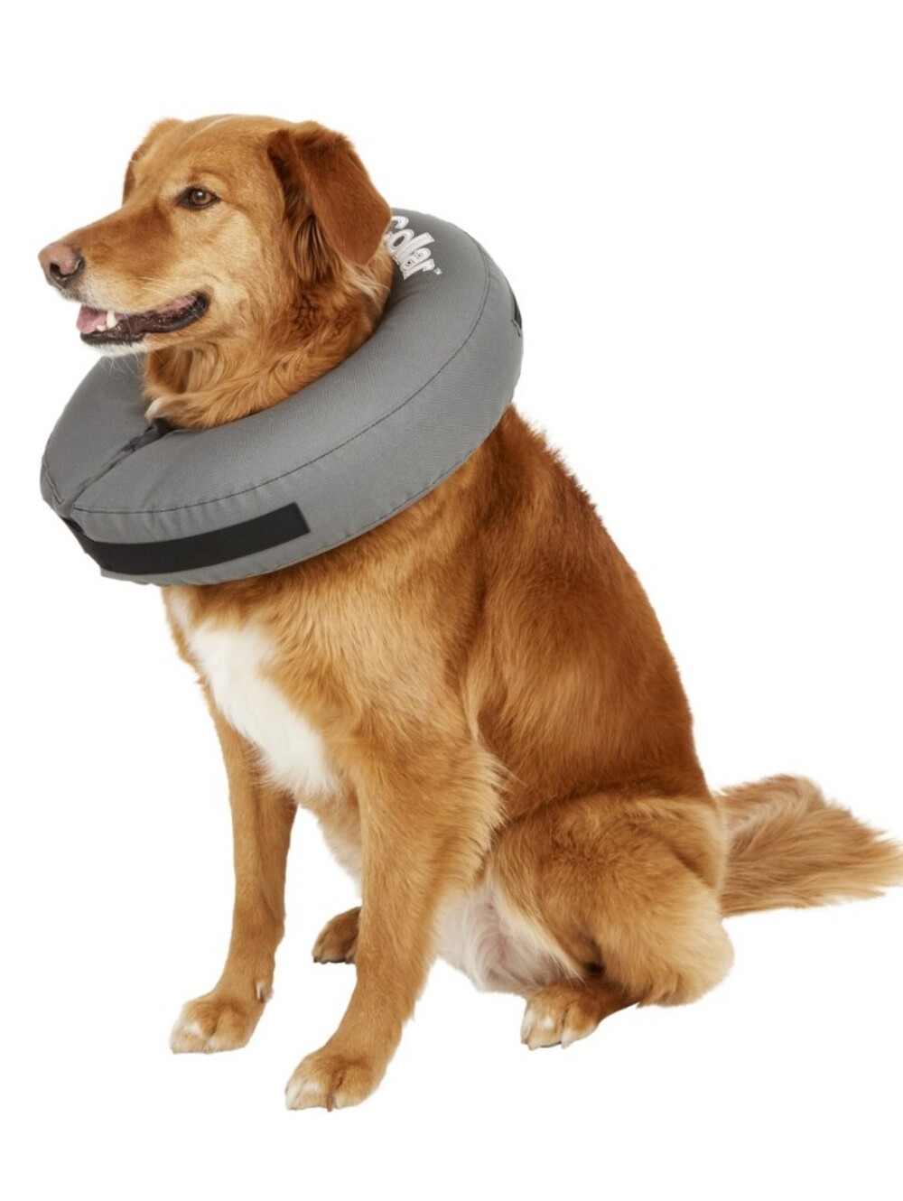 Well & Good Inflatable Collar for Dogs - Used Size Small